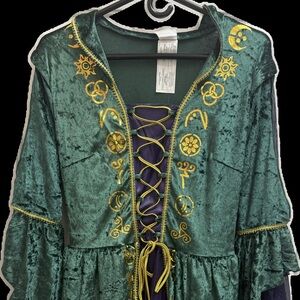 Hocus Pocus Winifred Emerald and Gold Embroidered Dress and Wig